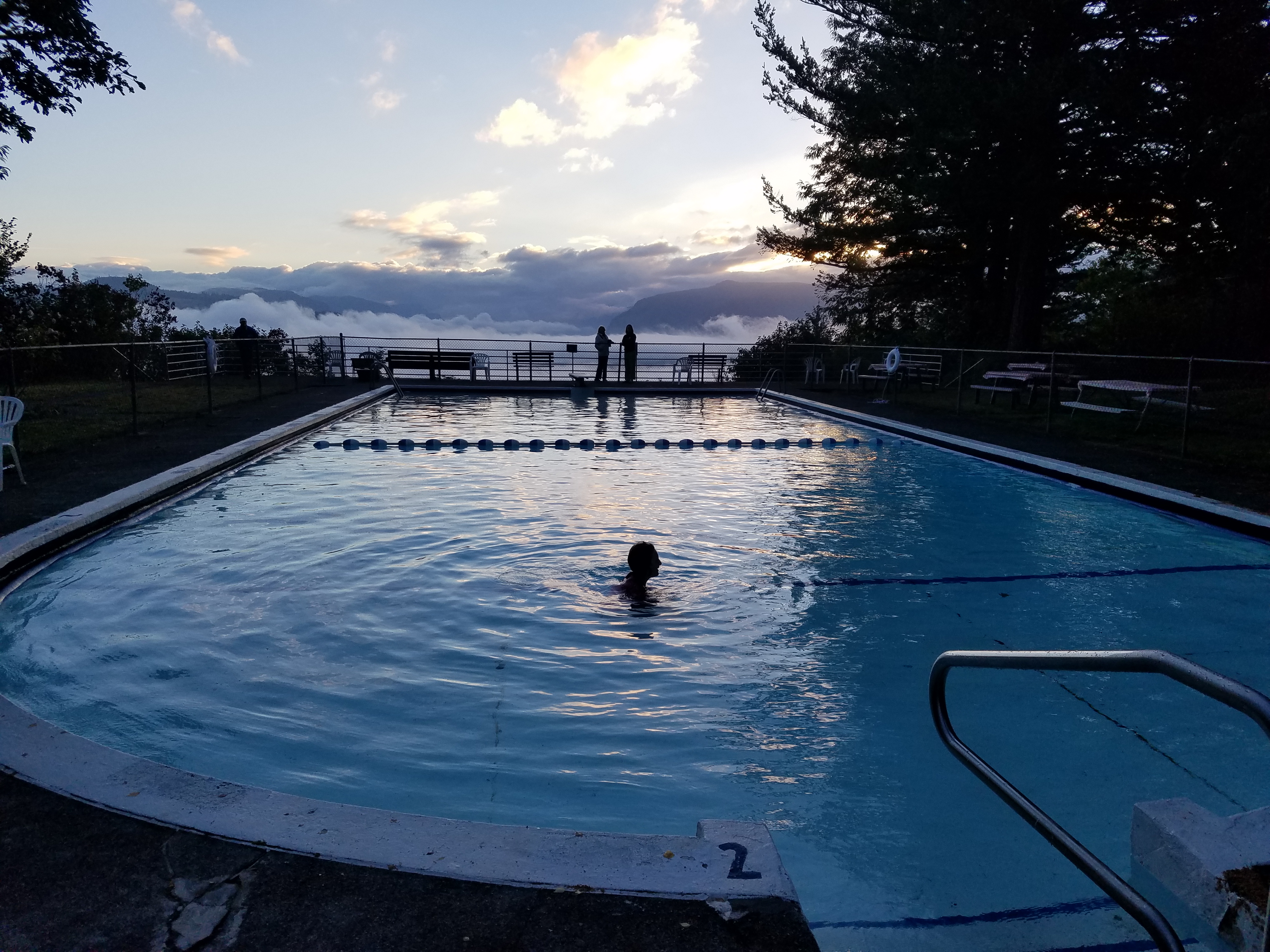 Pool-one-swimmer-polar-bear-FPC-Labor-Day-by-Joey